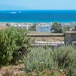 Naxos Luxury Mikri Vigla