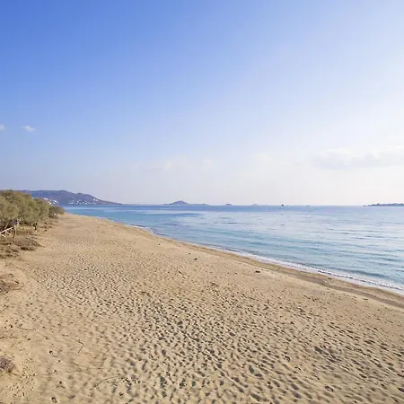 Naxos Luxury Villa *