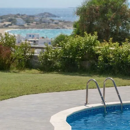 Villa Naxos Luxury Mikri Vigla