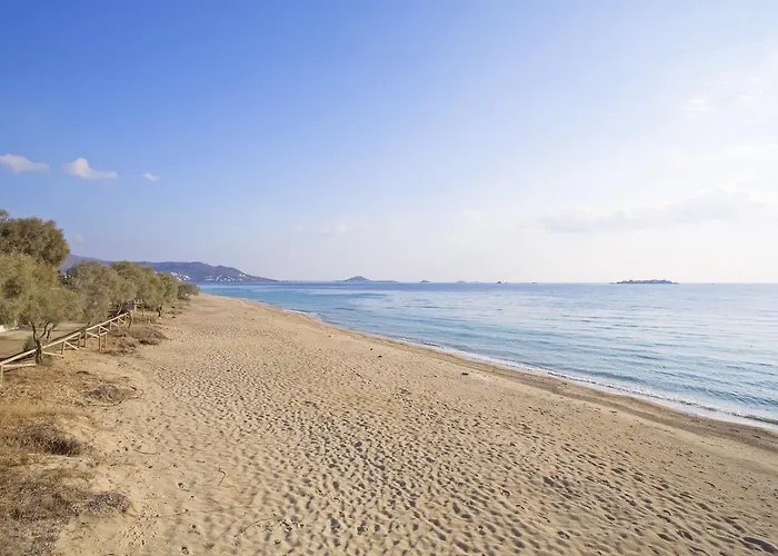 Naxos Luxury Villa *