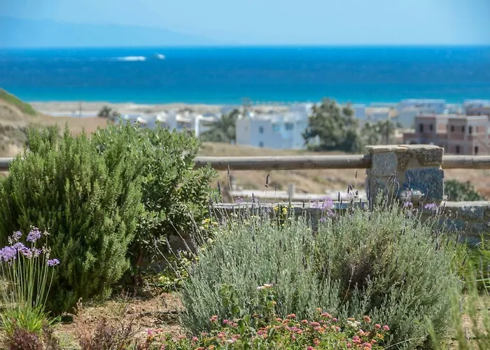 Naxos Luxury Mikri Vigla